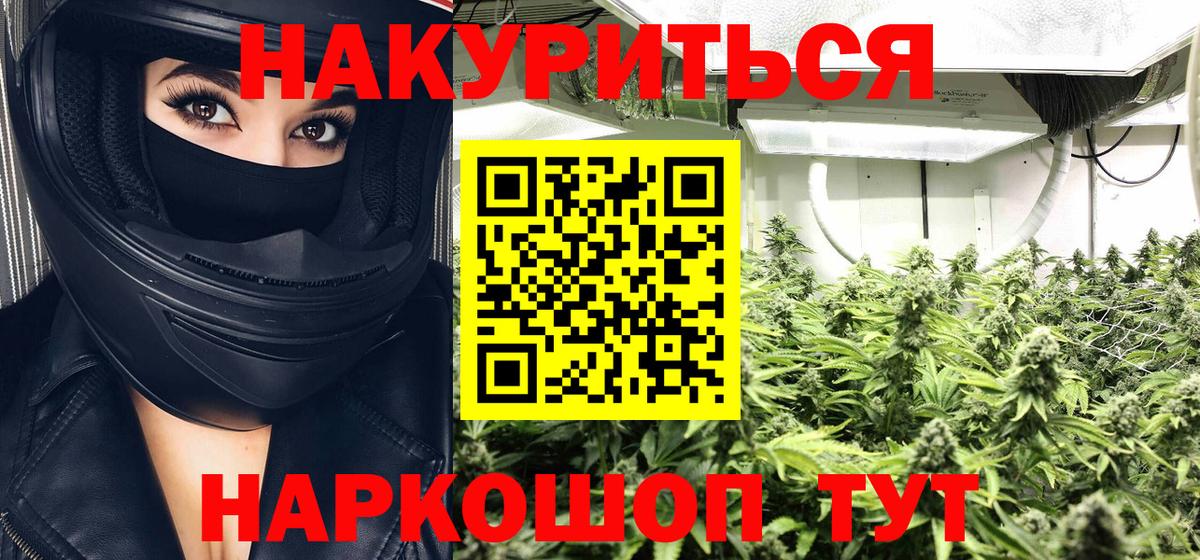 Канабис марихуана  Марихуана тримм  Конопля план  Вход с VPN  Будённовск  МАРИХУАНА Ganja 